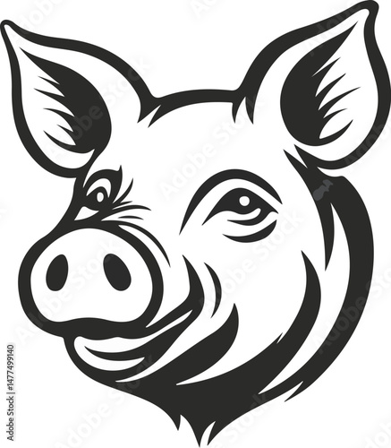 Pig Head Illustration in Black and White