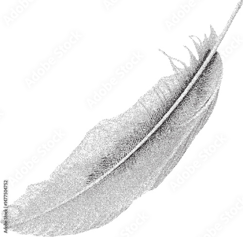 Black and white xerox effect feather vector illustration grainy textured feather halftone dotted feather drawing stippled feather design vintage feather graphic retro feather art isolated feather