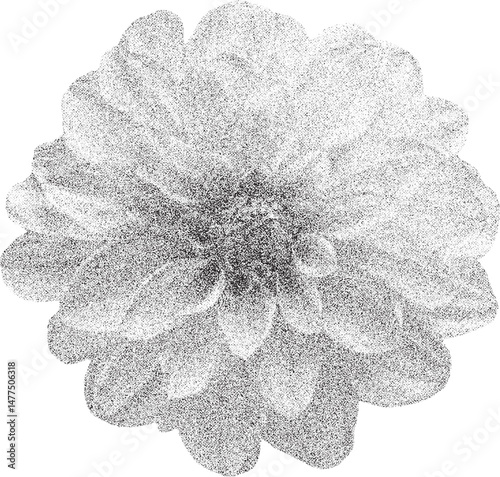 Black and white xerox effect dahlia flower vector illustration grainy textured floral design element monochrome botanical print vintage stipple shading speckled blossom isolated on white background
