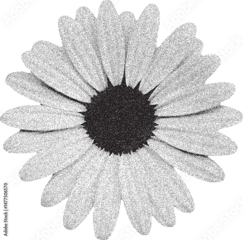 Black and white xerox effect floral vector illustration grainy textured daisy flower vintage stipple shading dotted halftone design element isolated on white background monochrome bloom blossom plant