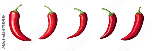 Set of five red chili peppers isolated on white background with stems, detailed realistic vegetables in various angles for cooking and spice illustrations, food ingredient concept