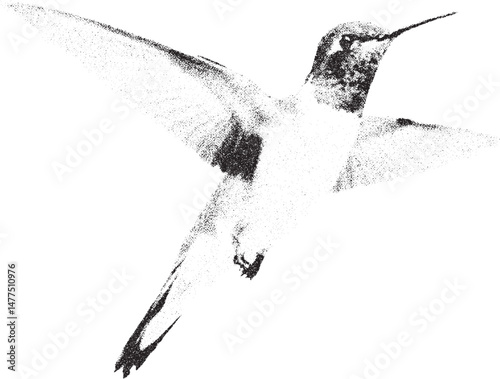 Black and white xerox effect vector hummingbird illustration isolated on white background flying hummingbird speckled texture wildlife bird nature monochrome animal design element vintage retro style