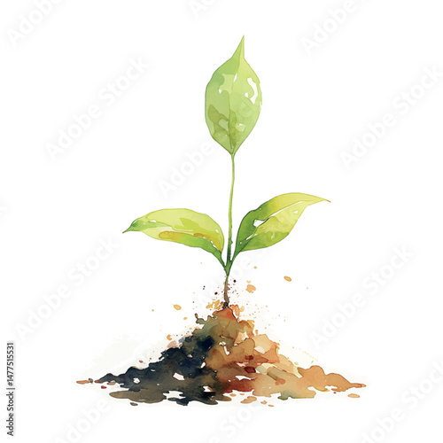 New sprout emerging from rich soil signifies growth and renewal in nature during springtime