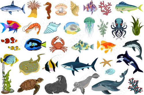 Flora and fauna of the seas and oceans.Large vector collection of marine animals and plants.