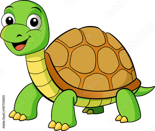 tortoise