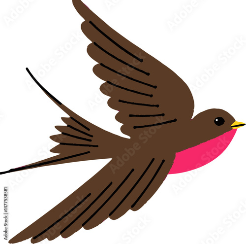 swallow
