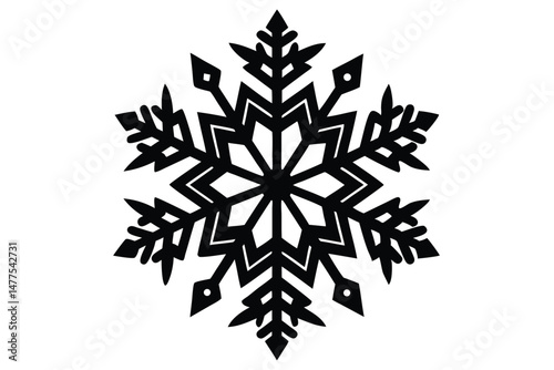 Ornate snowflake pattern in black and white shows intricate fractal geometry within its detailed design