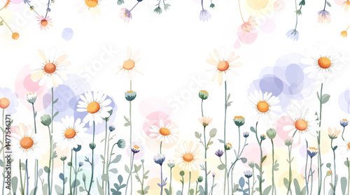 Watercolor hand drawn daisy floral bouquet background design
