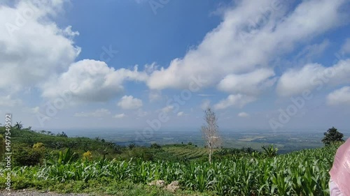 Aerial view of landscape