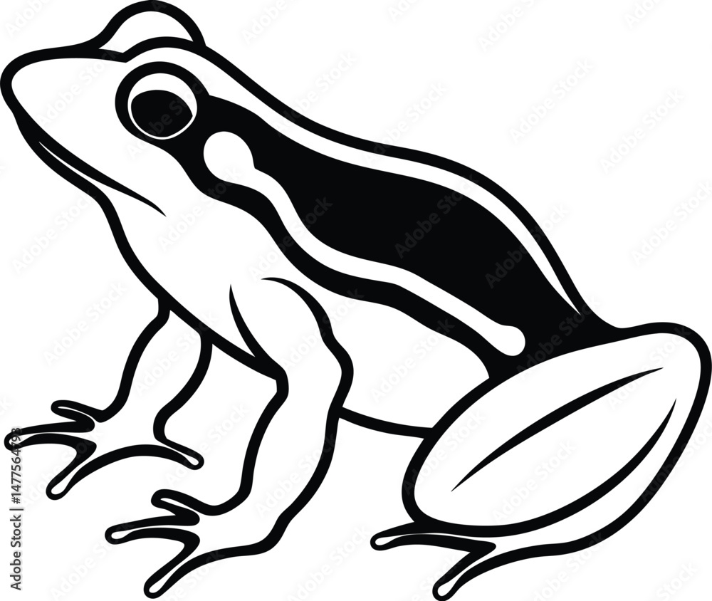 Obraz premium frog on a white