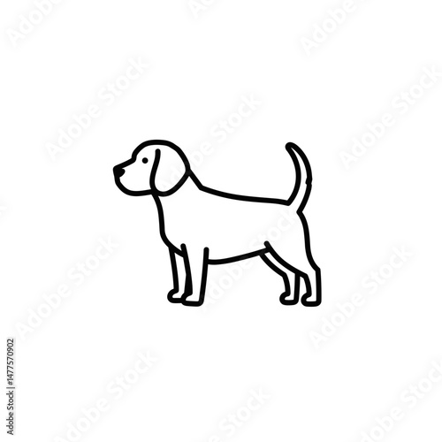 Beagle dog standing with curiosity on white background