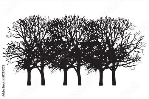 A set of trees with a white background and a black and white image of a tree