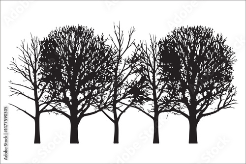 A set of trees with a white background and a black and white image of a tree