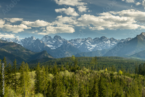 Fototapeta Naklejka Na Ścianę i Meble -  Tatra Mountans range in Poland