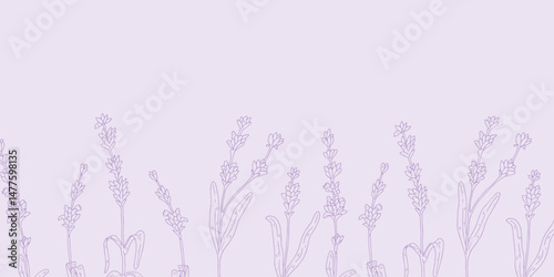 lavender flowers background. Trendy botanical wallpaper. Hand drawn line leaves branches and blooming. Wedding elegant wildflowers for invitation save the date card.