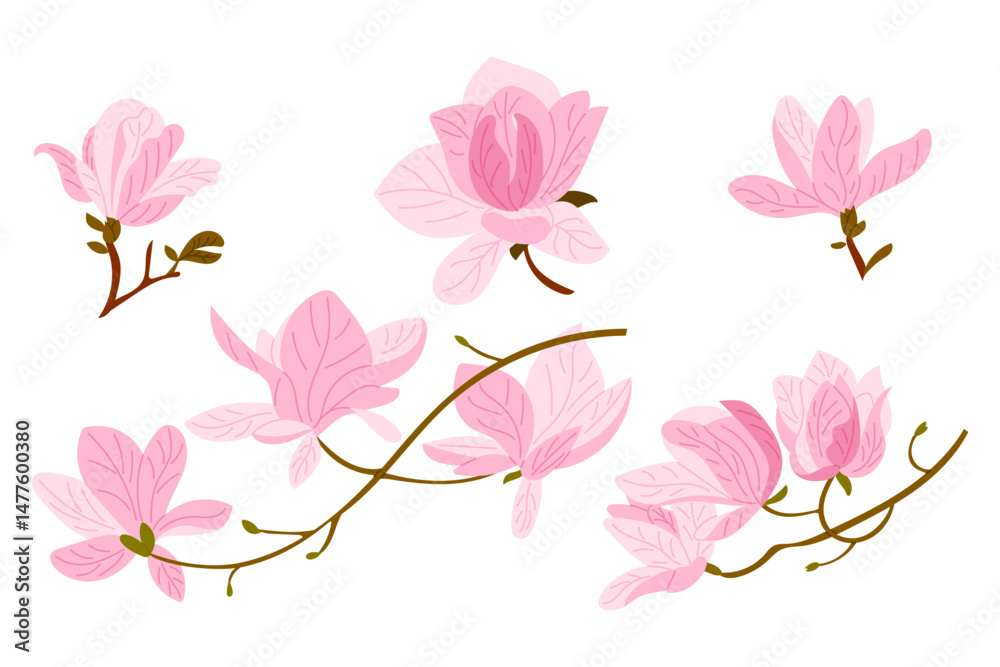 Hand drawn vector set of blooming pink magnolia flowers and branches on white background. Concept of springtime, floral elegance and natural beauty in soft botanical illustration Hand drawn vector set of blooming pink magnolia flowers and branches on white background. Concept of springtime, floral elegance and natural beauty in soft botanical illustration