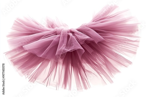 Tulle ballerina skirt isolated on white background