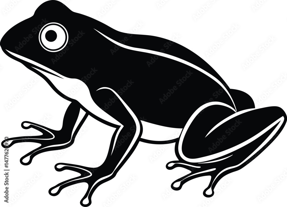 Naklejka premium frog isolated on white
