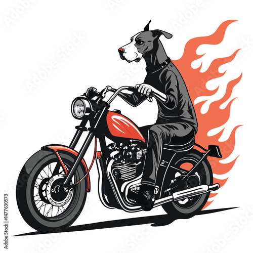 A majestic Great Dane, wearing goggles, confidently rides a vintage motorcycle engulfed in vibrant street flames.  The scene is dynamic and full of energy.