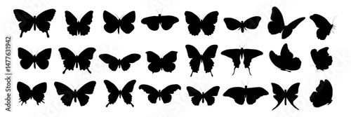 Set of vector illustrations of butterflies, stylish drawing, butterflies in different poses