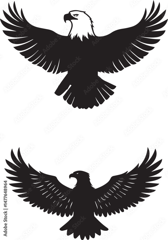 Fototapeta premium Silhouette of Flying Bald Eagle black and white vector 