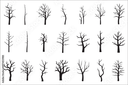 Tree Silhouettes Vector Set – Aspen, Cherry, Fir, Palm & More in Black