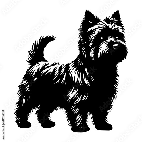 cairn terrier dog,silhouette vector file.
