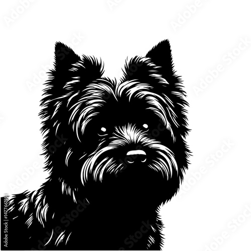Cairn Terrier dog,silhouette vector file.