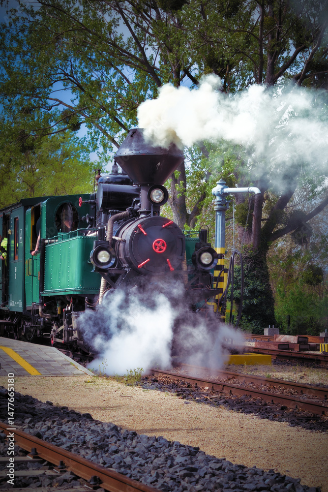 Naklejka premium Steam locomotive