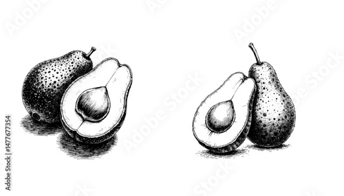 Vintage black ink sketch of avocado halves with pit on white background  