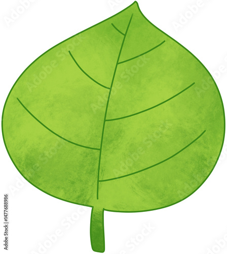 Cute Hand drawn Green Leaf