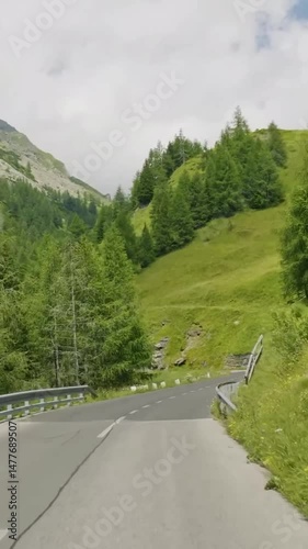 Vertical view of Austria road from car