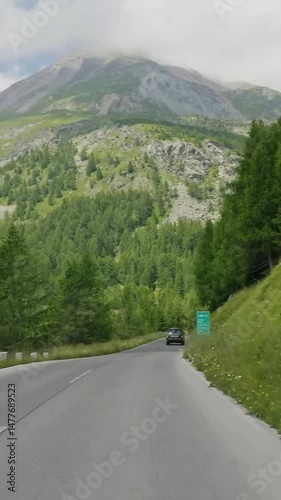 Vertical view of Austria road from car