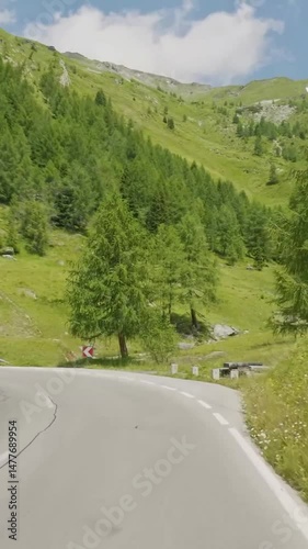 Vertical view of Austria road from car