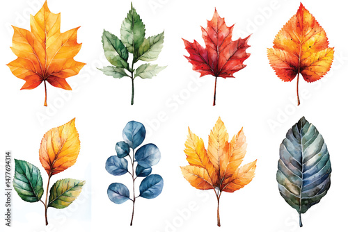 Watercolor autumn leaves of various types and vibrant colors are displayed on a transparent background