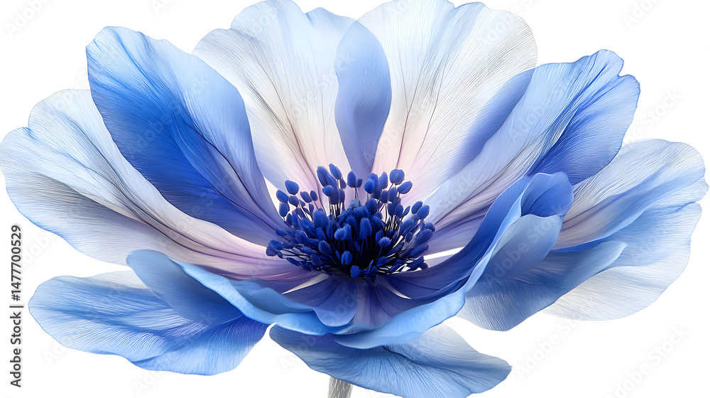 Obraz premium Stunning Close-Up of a Vibrant Blue and White Flower Captivating Natural Beauty