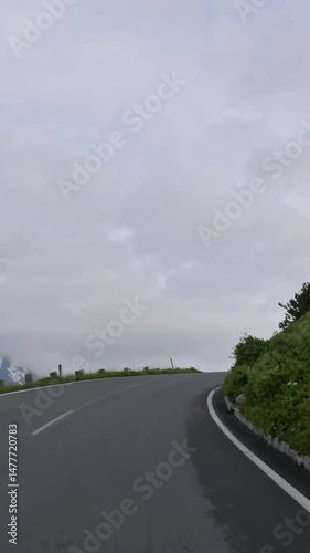 Vertical view of Austria road from car
