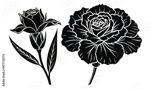 Carnation Flower Silhouette Duo: A pair of elegant carnation silhouettes, one in full bloom and another in bud, stand out against a stark white background.