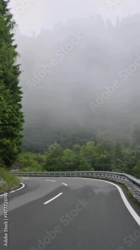 Vertical view of Austria road from car