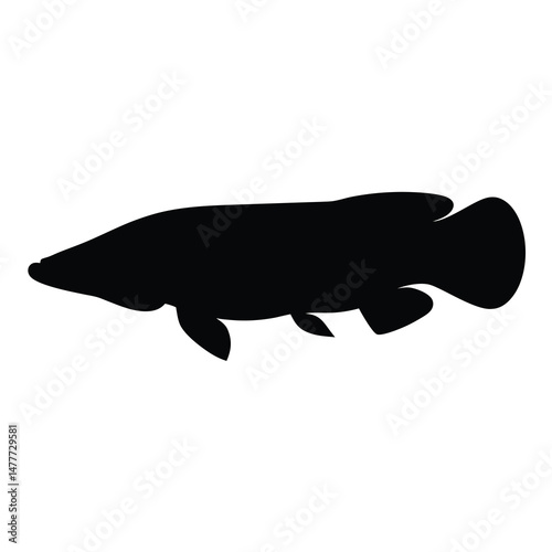 arapaima vector silhouette icon - ideal for fishing logos, seafood icons, and aquatic-themed graphics.
