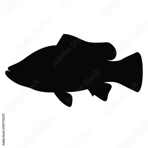 barramundi vector silhouette icon - ideal for fishing logos, seafood icons, and aquatic-themed graphics.
