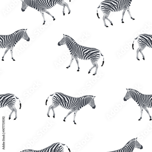 Seamless pattern zebra on white background, vector eps 10