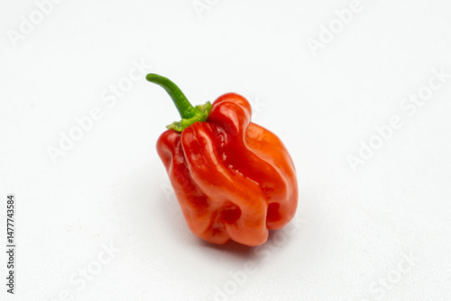 ripened red habanero peppers (capsicum chinense) on white background. Very hot mexican peppers close up