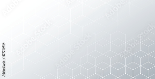 white background with hexagonal line pattern design