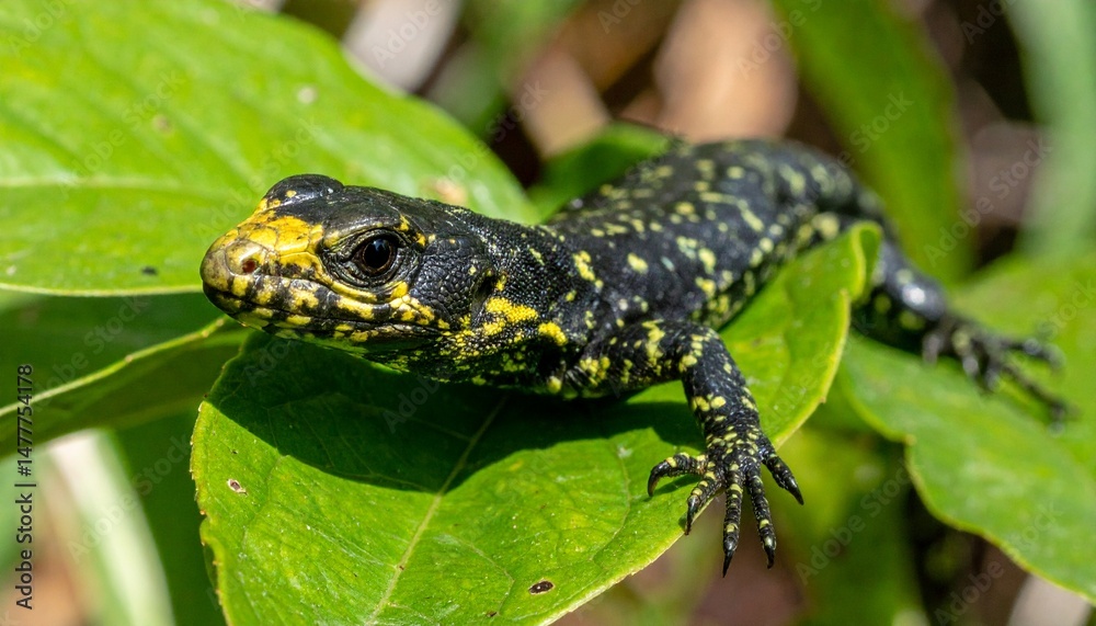 Naklejka premium stunning black and yellow lizard closeup on green leaf