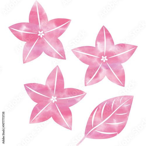 Fototapeta Naklejka Na Ścianę i Meble -  Clip art image of beautiful watercolor pattern bellflowers and leaf icon.