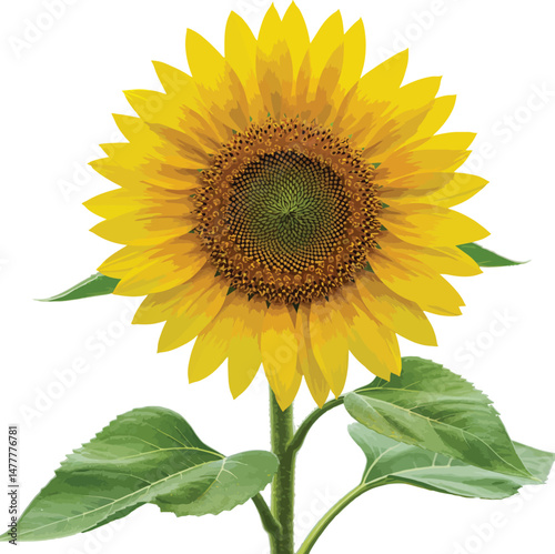 "Bright Sunflower with Green Leaves - Vibrant Yellow Floral Blossom"