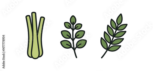 Herbs vector lemongrass stalk, basil, rosemary sprig illustration icon vector illustration isolated