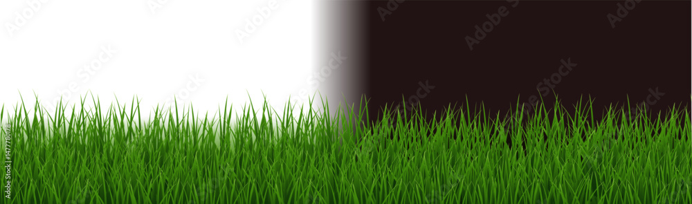 Fototapeta premium Green Grass Border Isolated White And Black Background