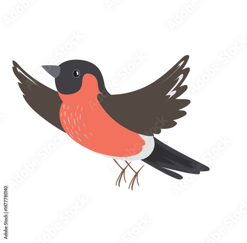 vector illustration of a bird